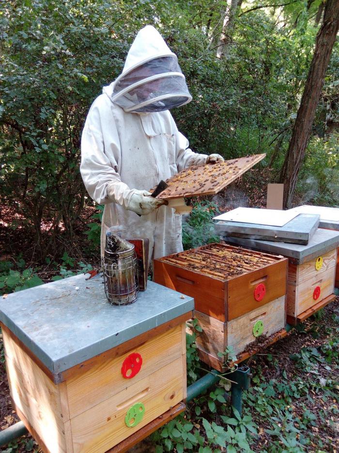 Práce je vždy dosť :-). - Domáci med - Včely Andreja Konárika - Domáci med - Včely Andreja Konárika