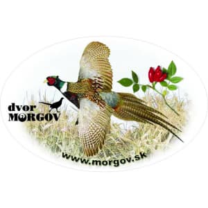 dvor Morgov - Lokálny trh