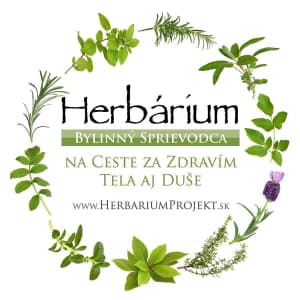 Herbárium Projekt - Lokálny trh