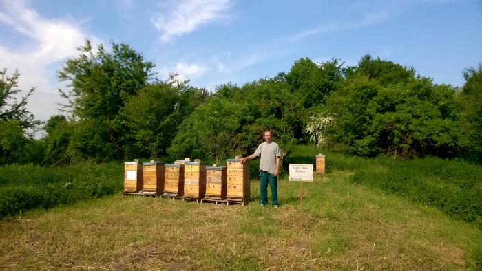 Moje včely - Moje včely