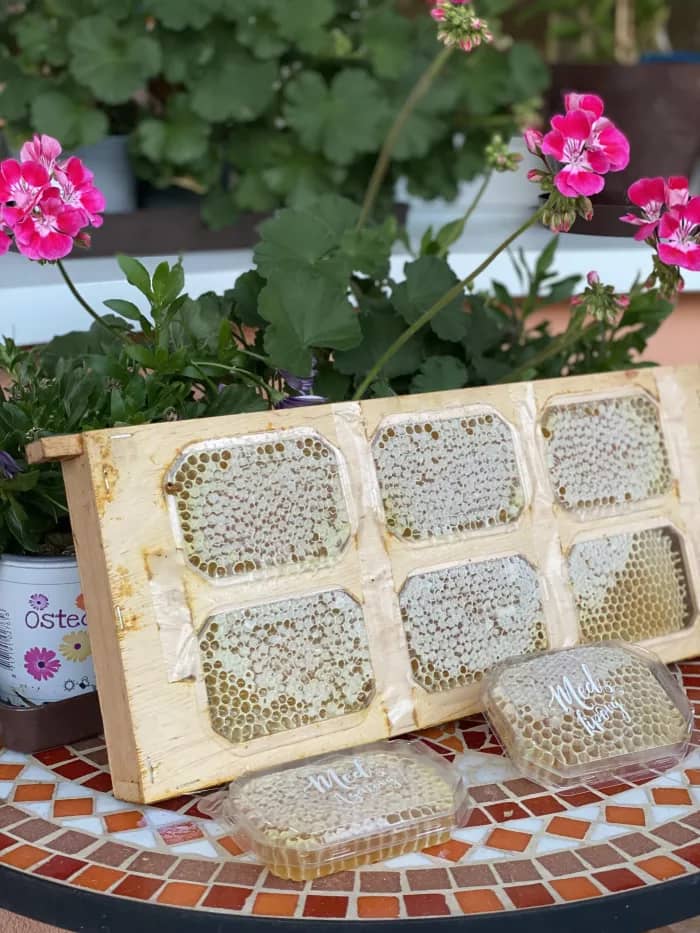 Plastikový MED - Šťastné včely - Šťastné včely