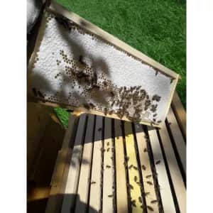 Včelí raj Kalinkovo - Lokálny trh